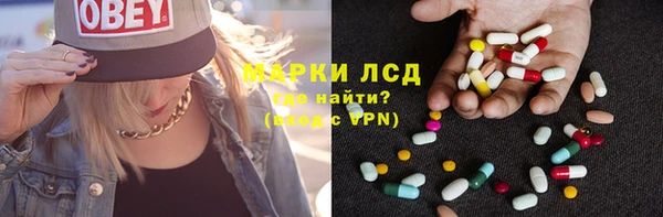 spice Верея