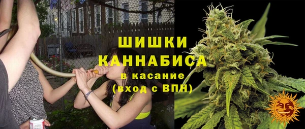 индика Верхнеуральск