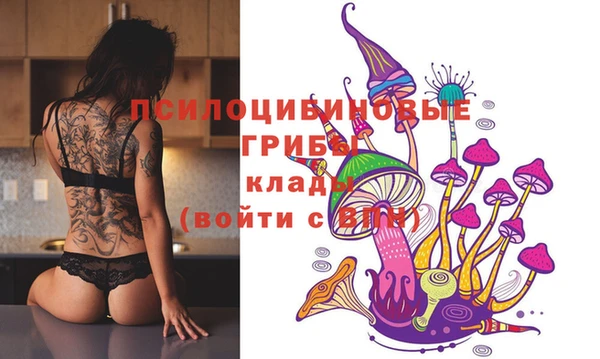 эйфоретик Снежногорск
