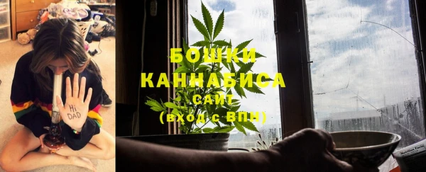 индика Верхнеуральск