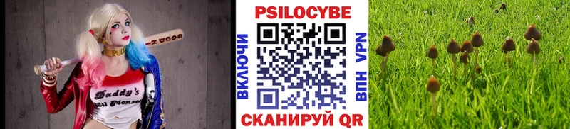 blacksprut как войти  Семёнов  Галлюциногенные грибы мухоморы 
